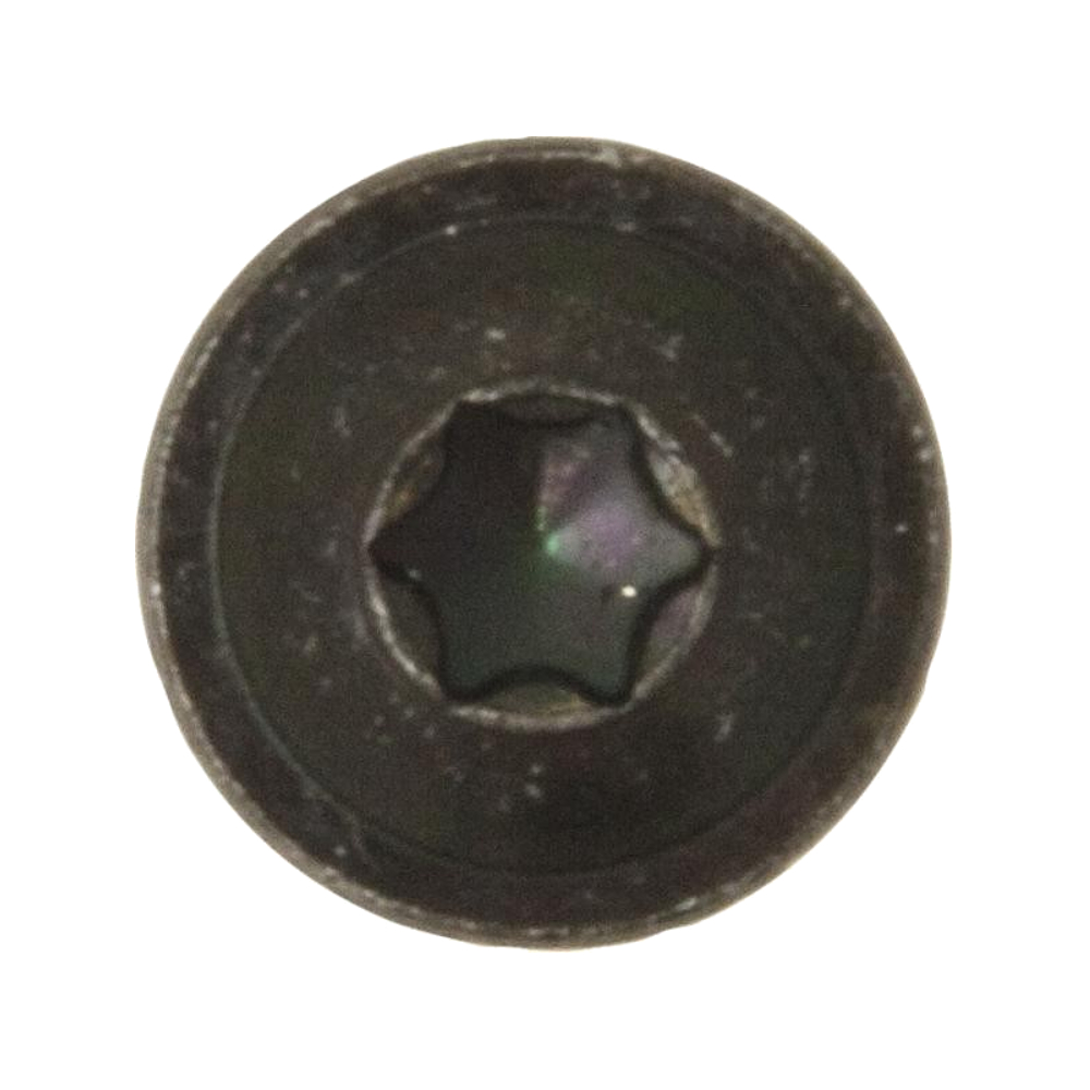 Torx Black Self-Tapping Screws Flange Pan Head Panel/Body Screws TORX